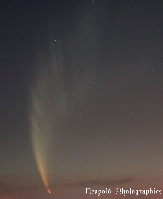 mcnaught1.jpg