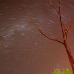 IMG_3937fz.jpg