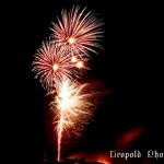 IMG_2767f.jpg