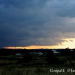 IMG_4362f.jpg