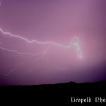 IMG_3484f.jpg