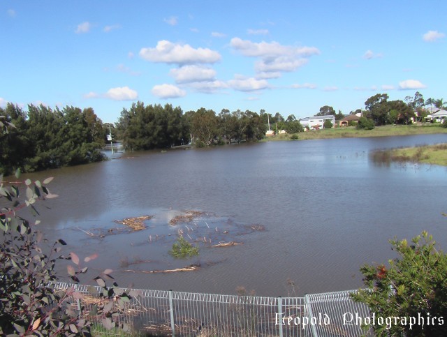 Telarah Lagoon 1