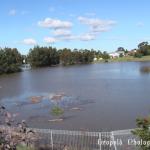 Telarah Lagoon 1