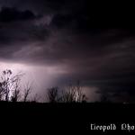 IMG_4446f.jpg
