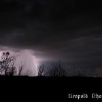 IMG_4452f.jpg
