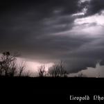IMG_4485f.jpg