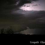 IMG_4489f.jpg