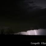 IMG_4494f.jpg