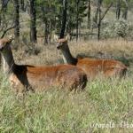 IMG_4403f.jpg