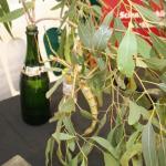 leaf_insect1.jpg