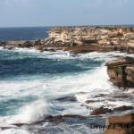 Cape Banks Rockface