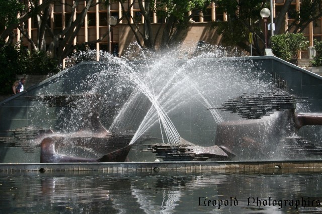 Civic Park Fountain