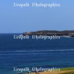Botany Panoramic