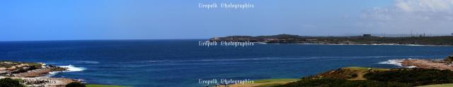 Botany Panoramic