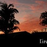 sunsetpan100506.jpg