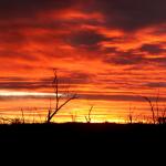 Sunset 11-06-06