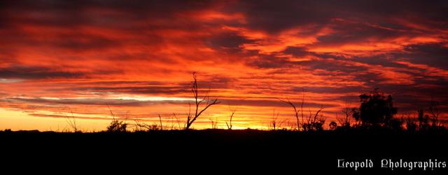 Sunset 11-06-06