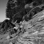 HillsB BW1