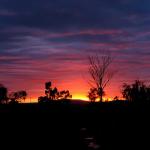 sunrise010606.jpg