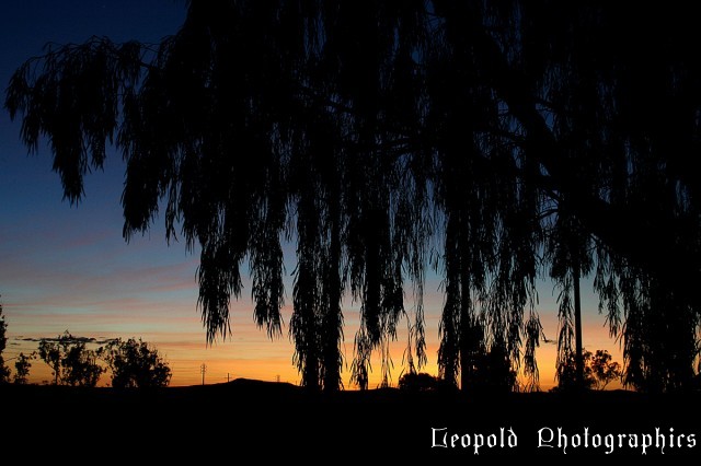 sunrise020706.jpg