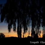 sunrise020706.jpg
