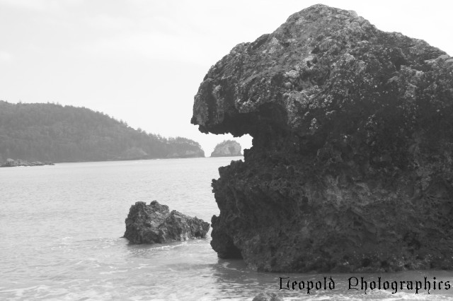 hungry rock.jpg