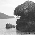 hungry rock.jpg