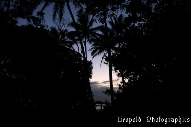 silhouette_sunrise.jpg