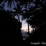 silhouette_sunrise.jpg