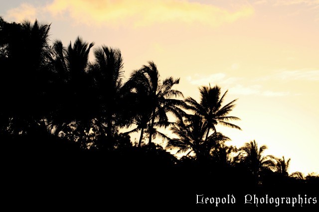 silhouette_sunset.jpg