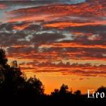 sunset 28-07-06.jpg