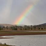 pan2243-2246z.jpg