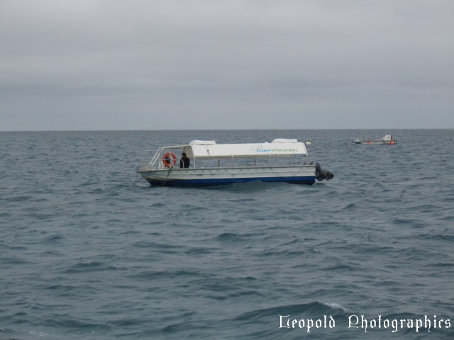 Glass Bottom Boat