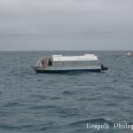 Glass Bottom Boat