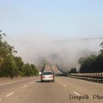 Moonie Bridge Fog