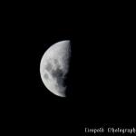 Half Moon