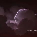lightning1z.jpg