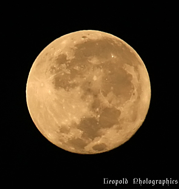 moon140506