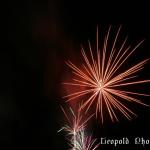 IMG_1000.jpg