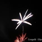 IMG_0981.jpg
