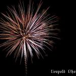 IMG_1638.jpg