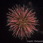 IMG_1587.jpg