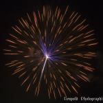 IMG_1590.jpg