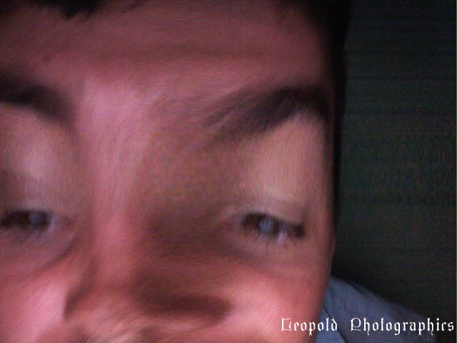 Photo 77