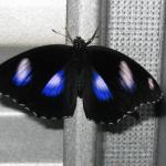IMG_3256.jpg