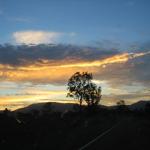IMG_0564.jpg