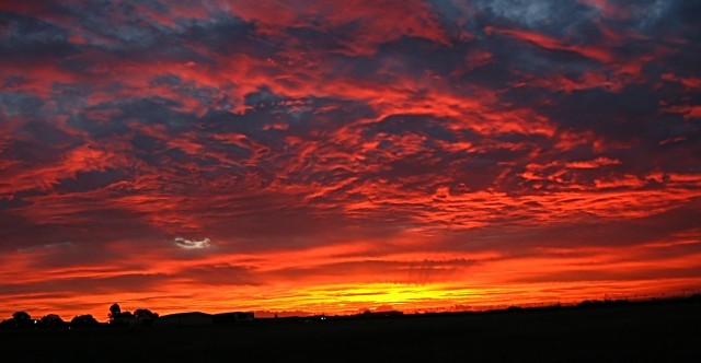 pansunset1363-64_filtered.jpg