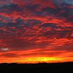 pansunset1363-64_filtered.jpg