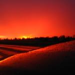 IMG_4423.JPG