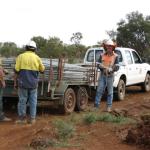 Work - Drilling Crew